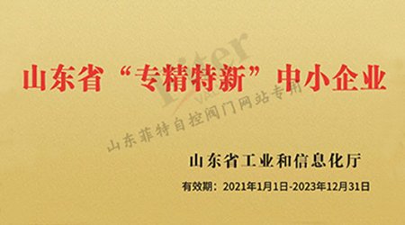 山东2020年度省级“专精特新”中小企业名单公示，菲特榜上有名
